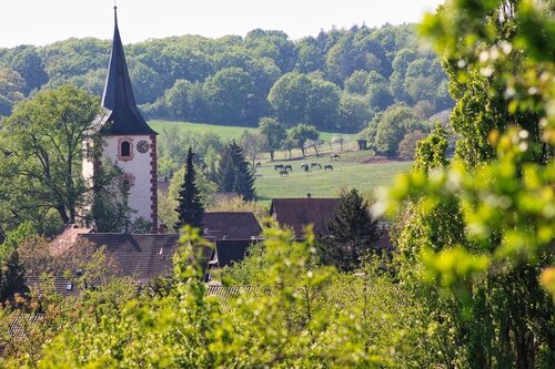 Sternenfels
Unterkunft
Ferienwohnung
Monteurzimmer
Monteurwohnung
Monteurhaus
Gästezimmer
Hotel
Gasthof
Gasthaus
Airbnb
La Siesta