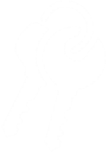 icon key deposit
