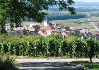 Sachsenheim-Hohenhaslach Unterkunft Ferienwohnung Monteurzimmer Monteurwohnung Monteurhaus Gästezimmer Hotel Gasthof Gasthaus Airbnb La Siesta